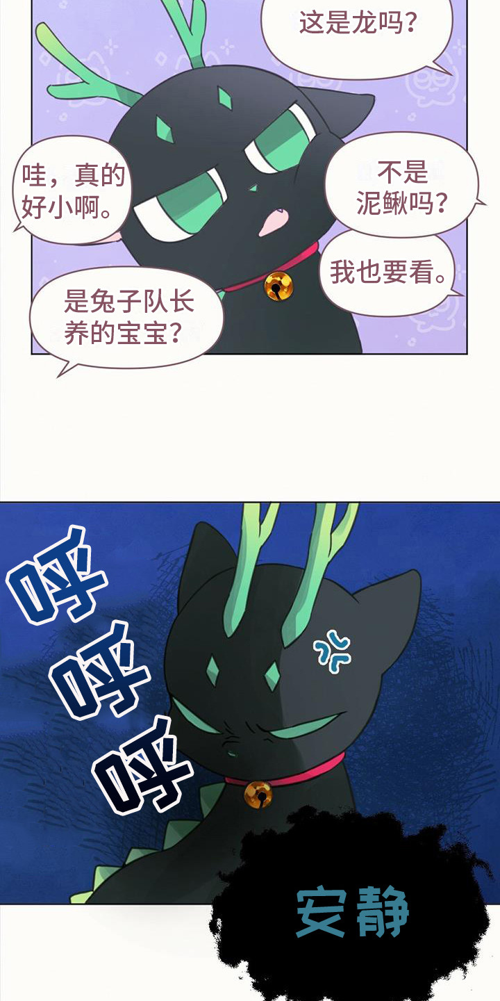 兔兔的小龙宝漫画,第7话4图