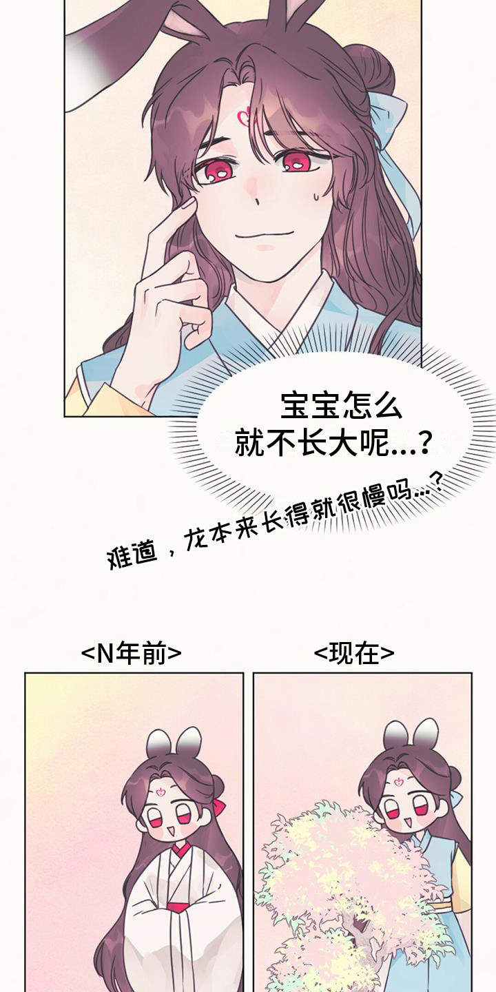 兔兔的故事睡前漫画,第5话2图