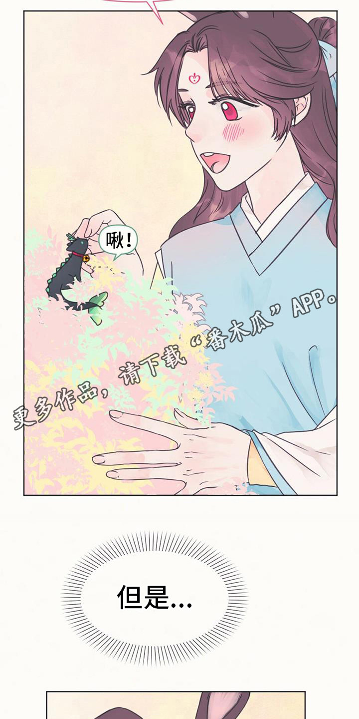 兔兔的故事睡前漫画,第5话1图