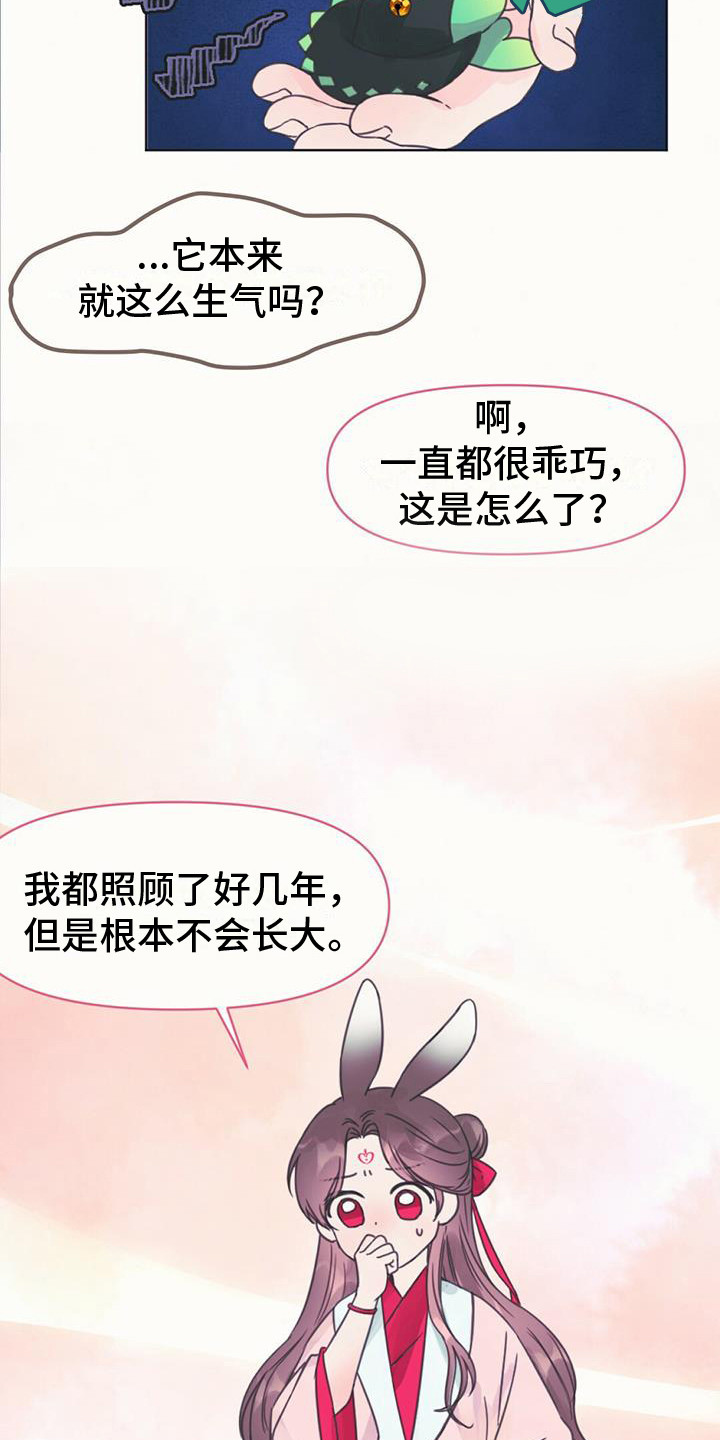 兔兔的故事睡前漫画,第5话2图