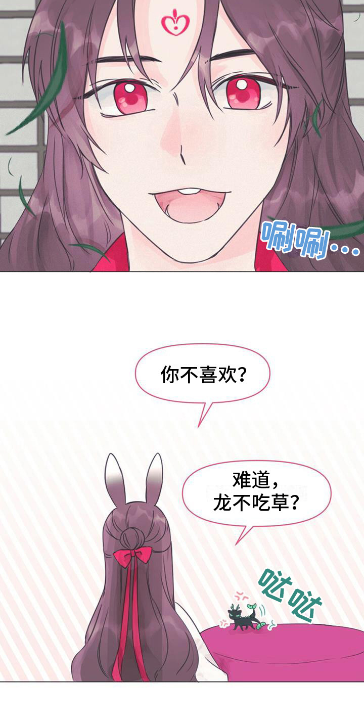 兔兔的小龙宝漫画,第3话3图