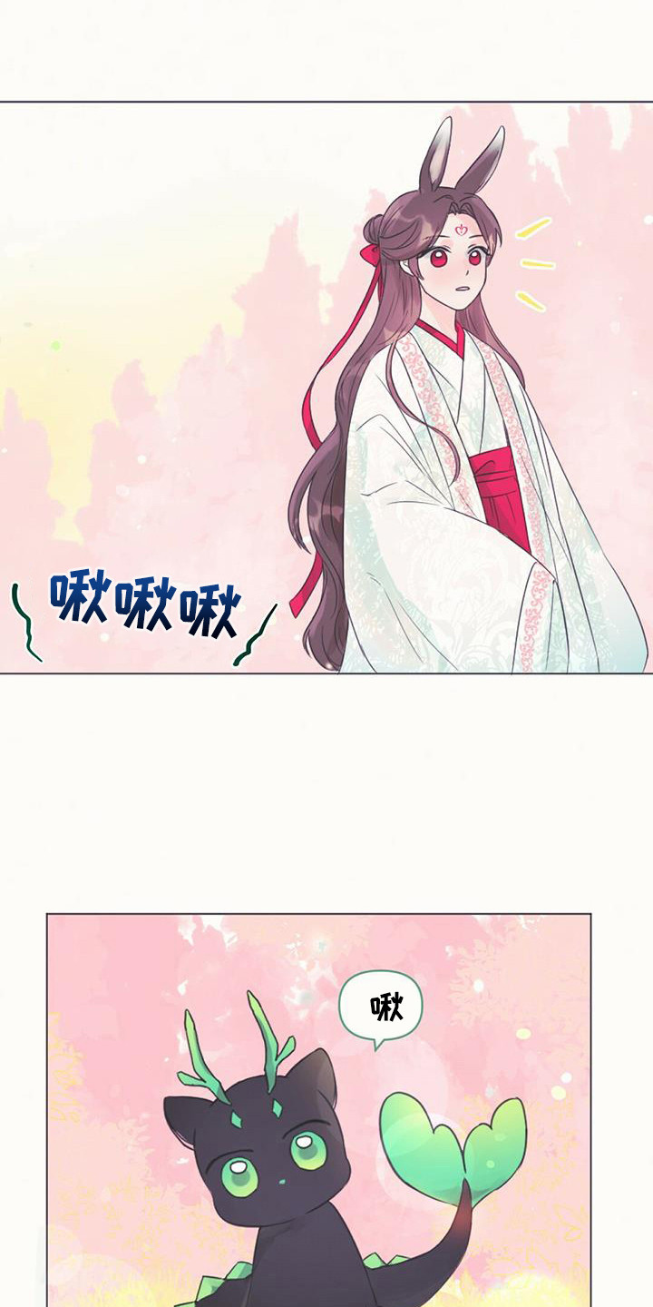 兔兔的小龙宝漫画,第2话1图