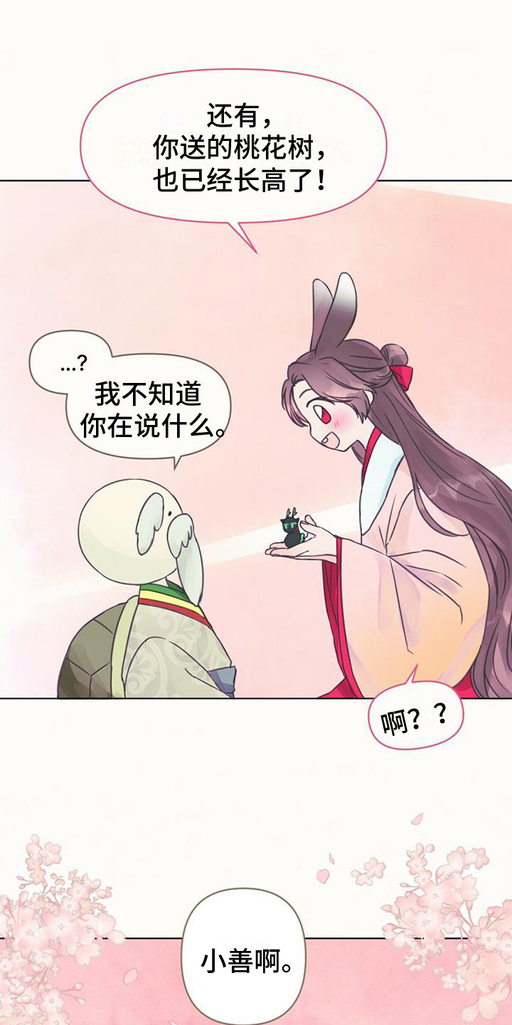 兔兔的小龙宝漫画,第6话1图