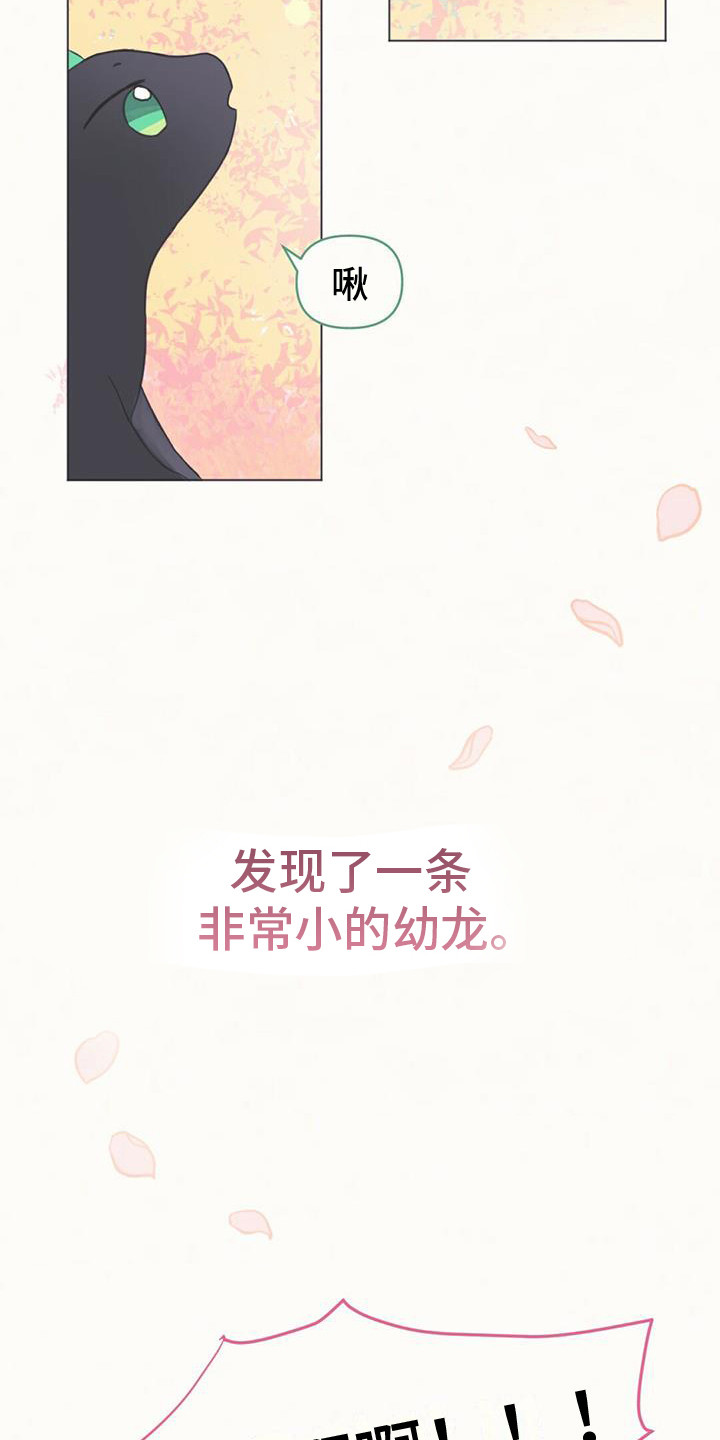 兔兔的小龙宝漫画,第1话4图