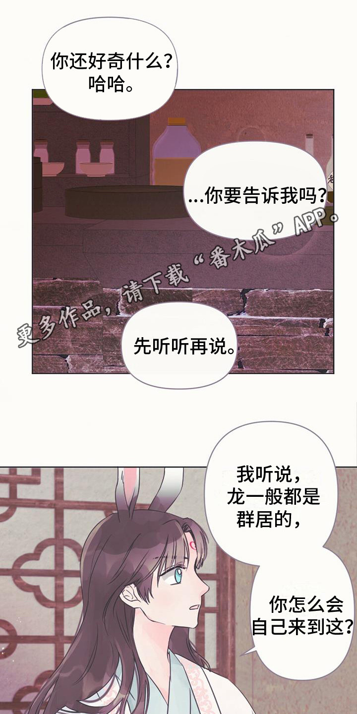 兔兔的故事睡前漫画,第10话1图