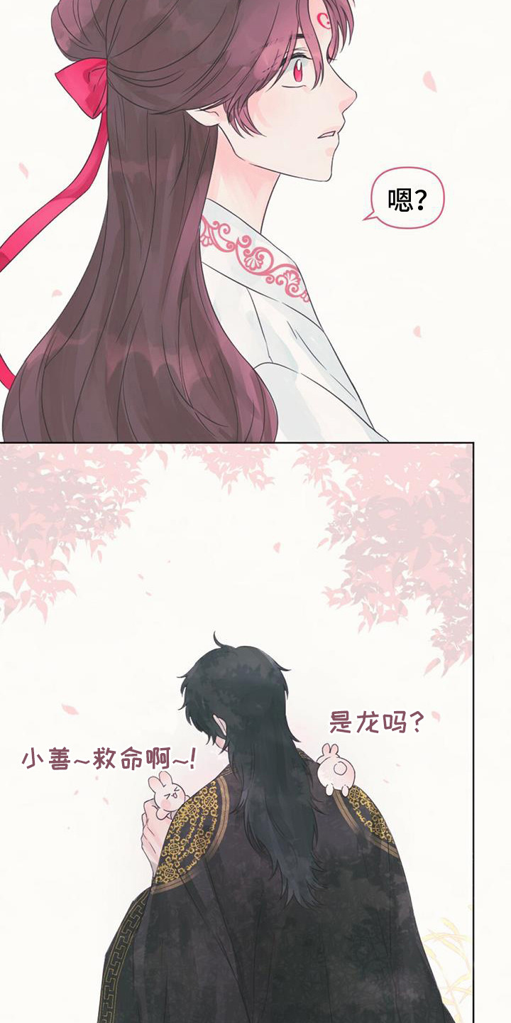 兔兔的故事睡前漫画,第7话5图