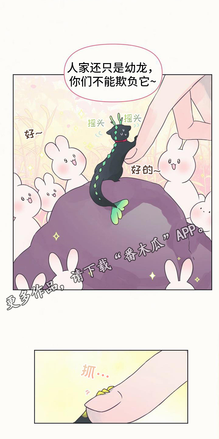 兔兔的小龙宝漫画,第7话5图