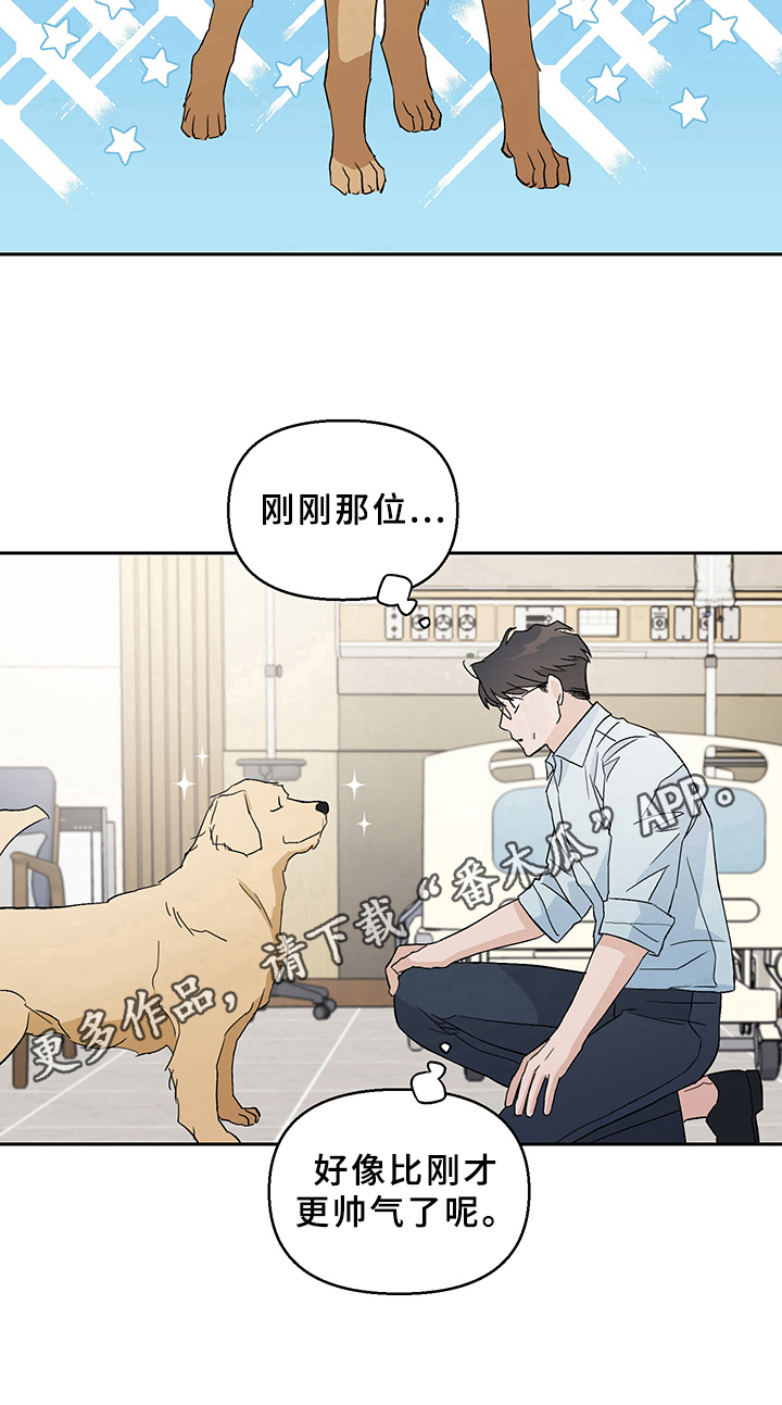 爱犬与我漫画,第5章：形象4图