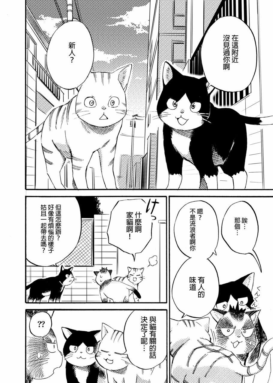 貍猫咬咬漫画,第4话4图