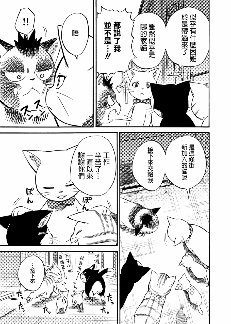 貍猫咬咬漫画,第4话4图