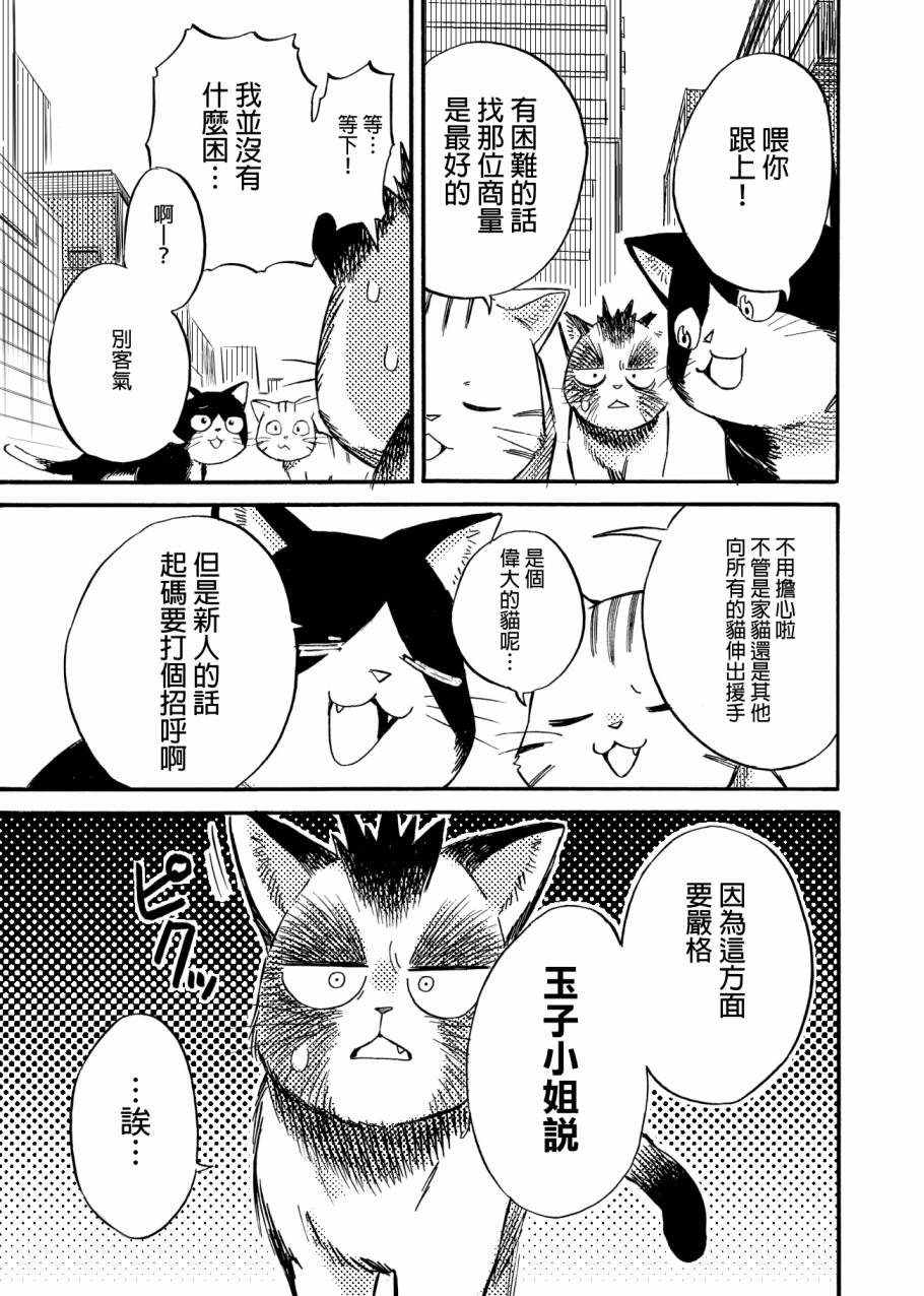 貍猫咬咬漫画,第4话5图