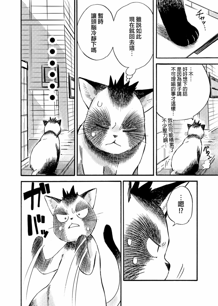 貍猫咬咬漫画,第4话2图