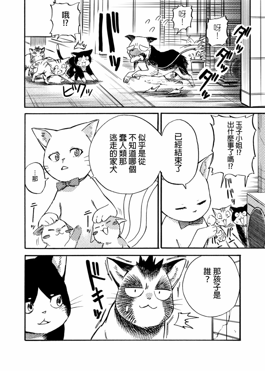 貍猫咬咬漫画,第4话3图