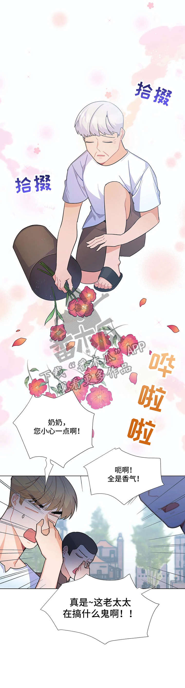 第5章：花2