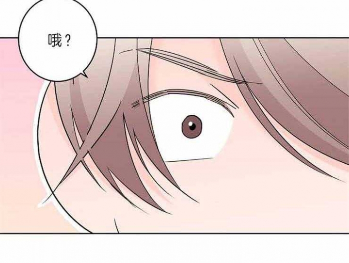 炒过的豆子会发芽吗漫画,第9话5图