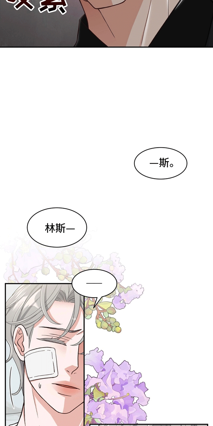 花样间谍漫画,第5话1图