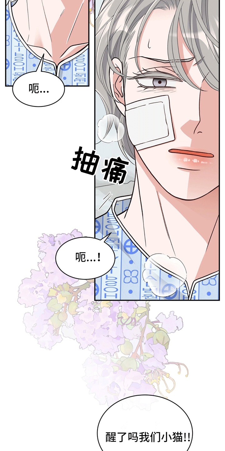 花样间谍漫画,第5话2图