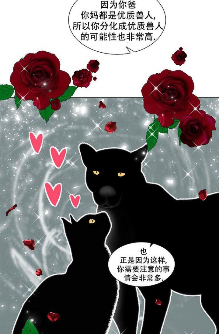 非凡的初恋漫画,第2话4图