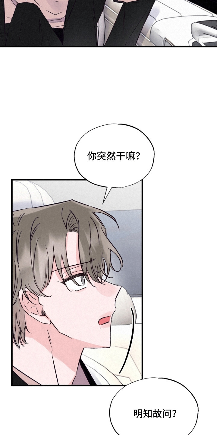 双重浪漫调查是什么漫画漫画,第10话3图