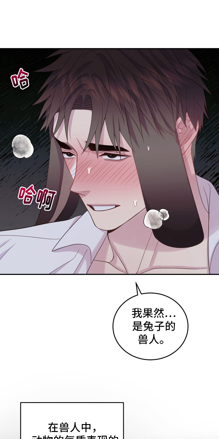 双蛇出洞家运不兴是什么意思漫画,第6话5图