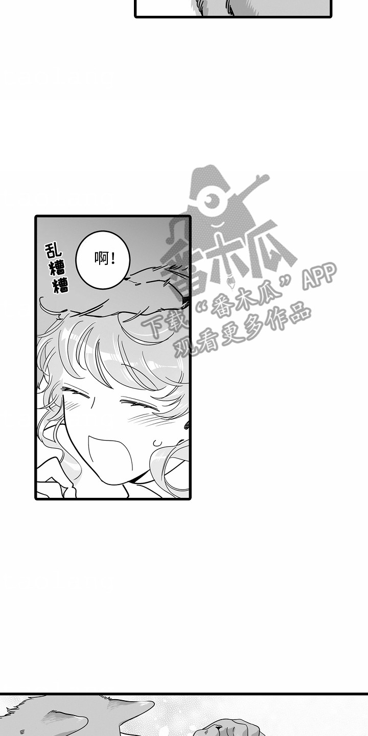 善良的狼图片漫画,第3话2图