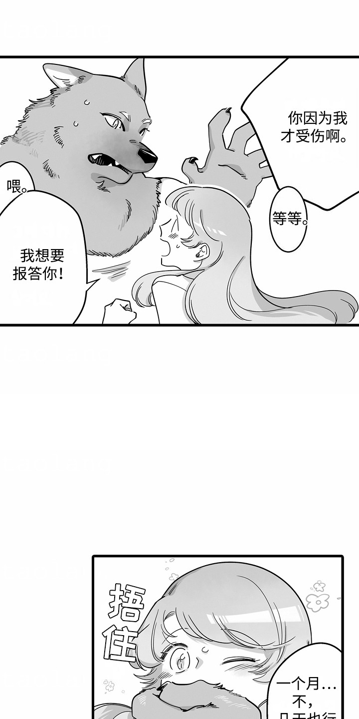 善良的狼图片漫画,第3话1图