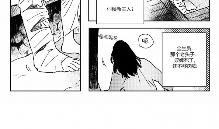 逢春的卢小说免费漫画,第3话4图