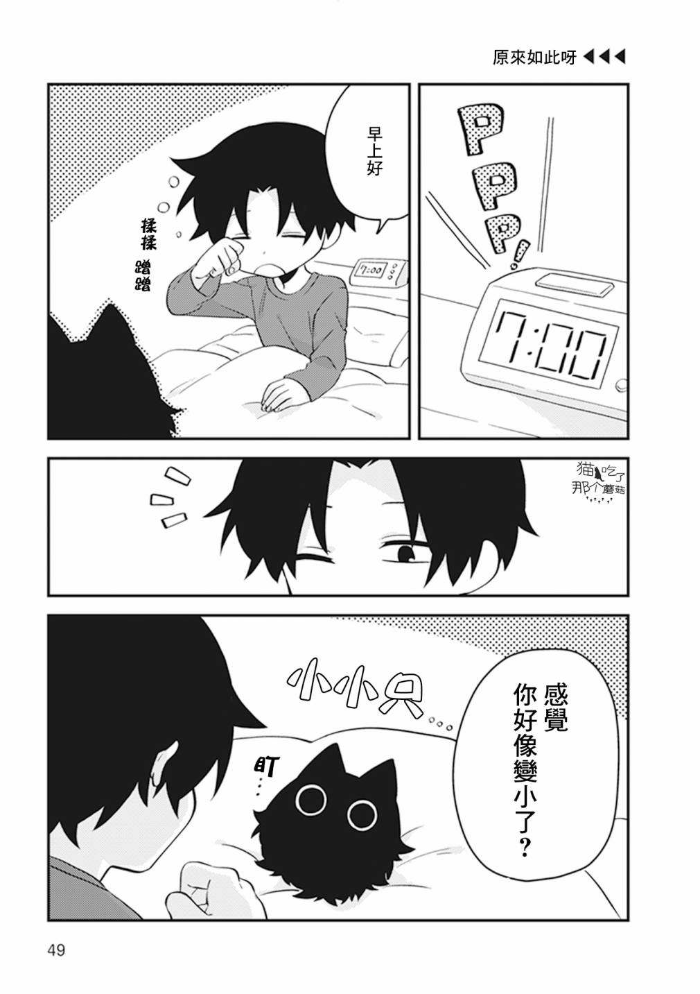 猫非猫漫画,第11话1图