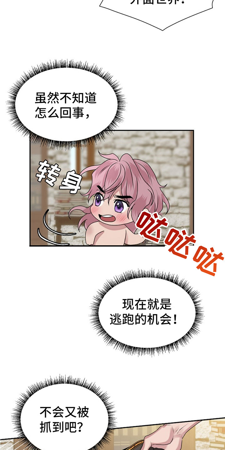 宠物魔法石还能用吗漫画,第8话3图