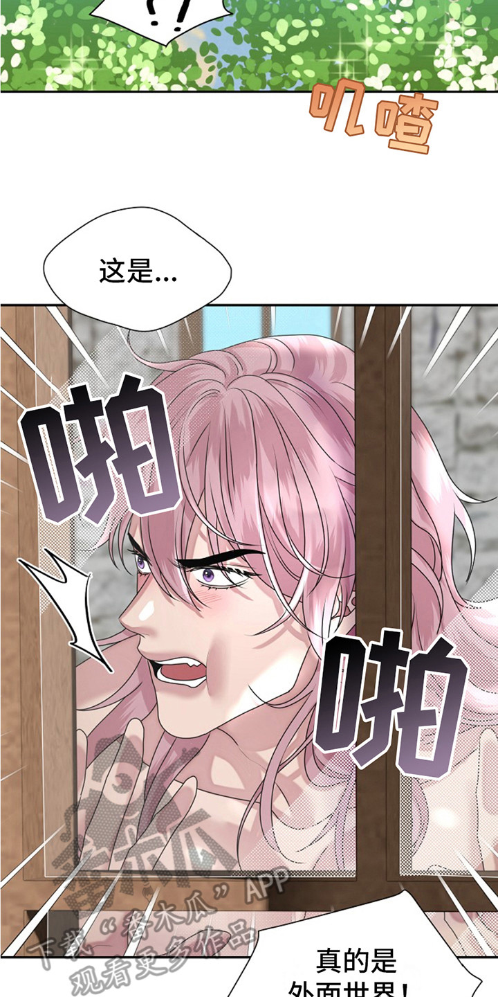 宠物魔术师全文阅读漫画,第8话2图