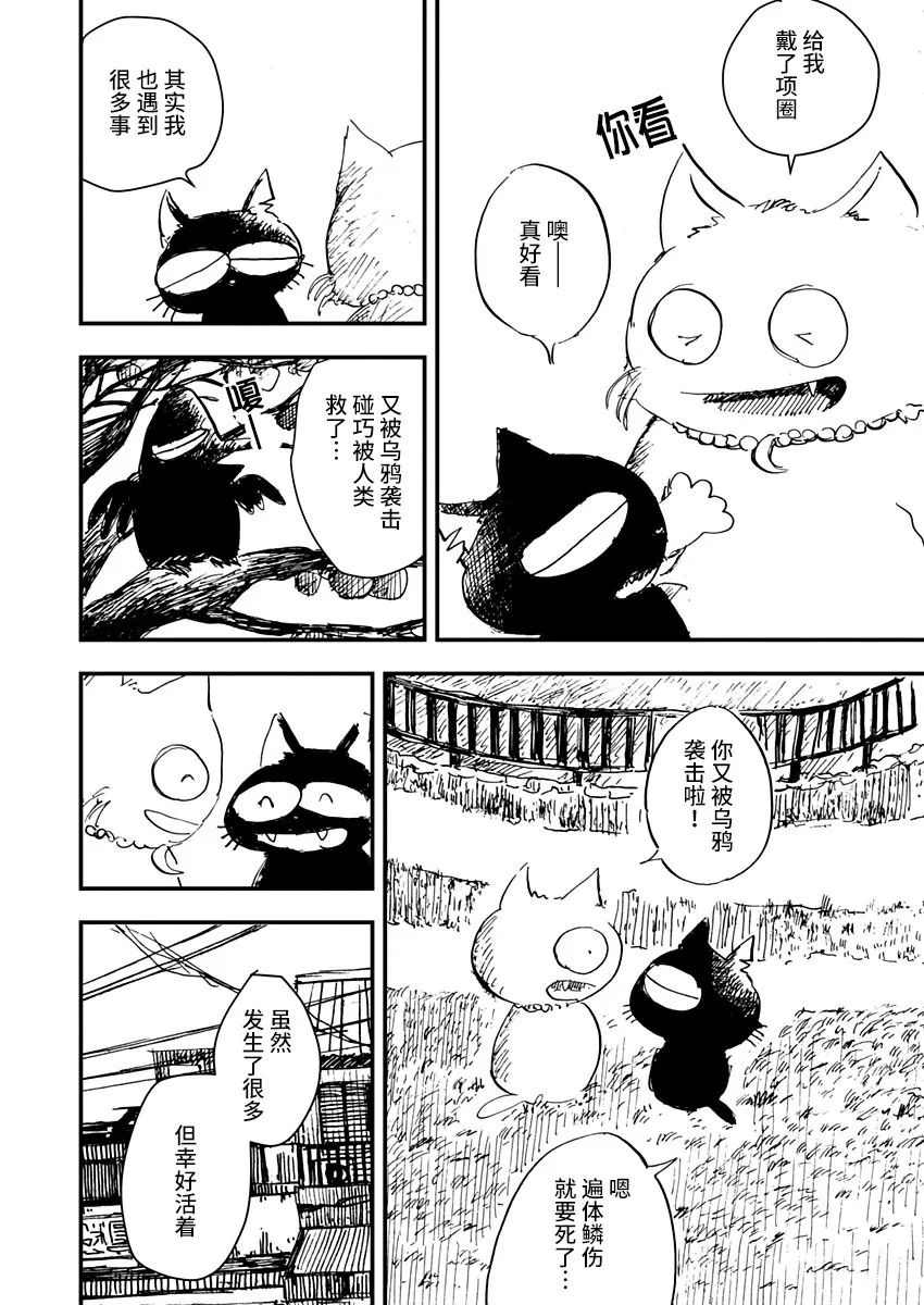 黑猫小小的一生漫画漫画,第7话5图