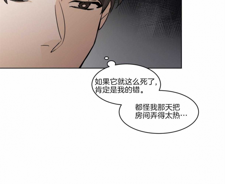 冷血动物原版资源漫画,第3话3图