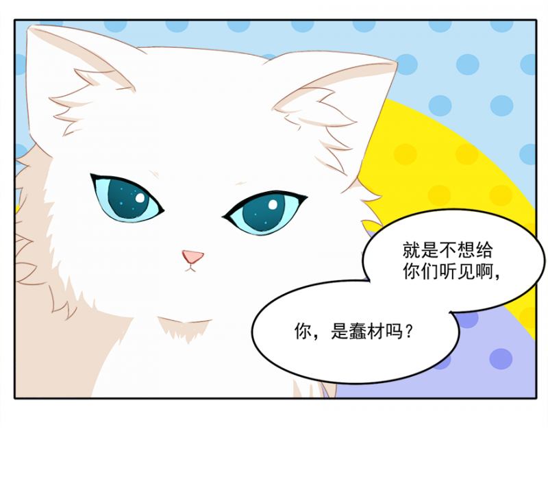 主子是猫王子殿下漫画,第8话4图