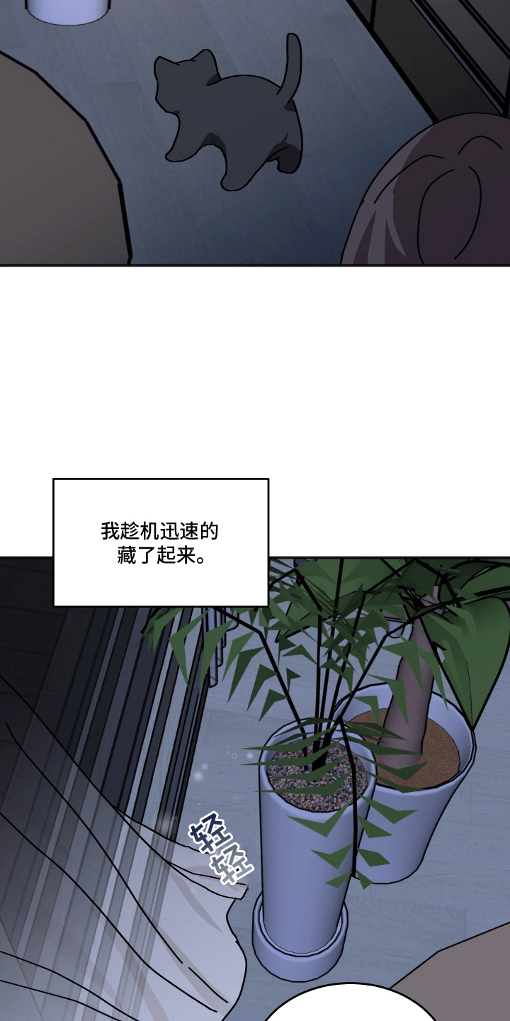 跨次元定制类小说漫画,第4话4图