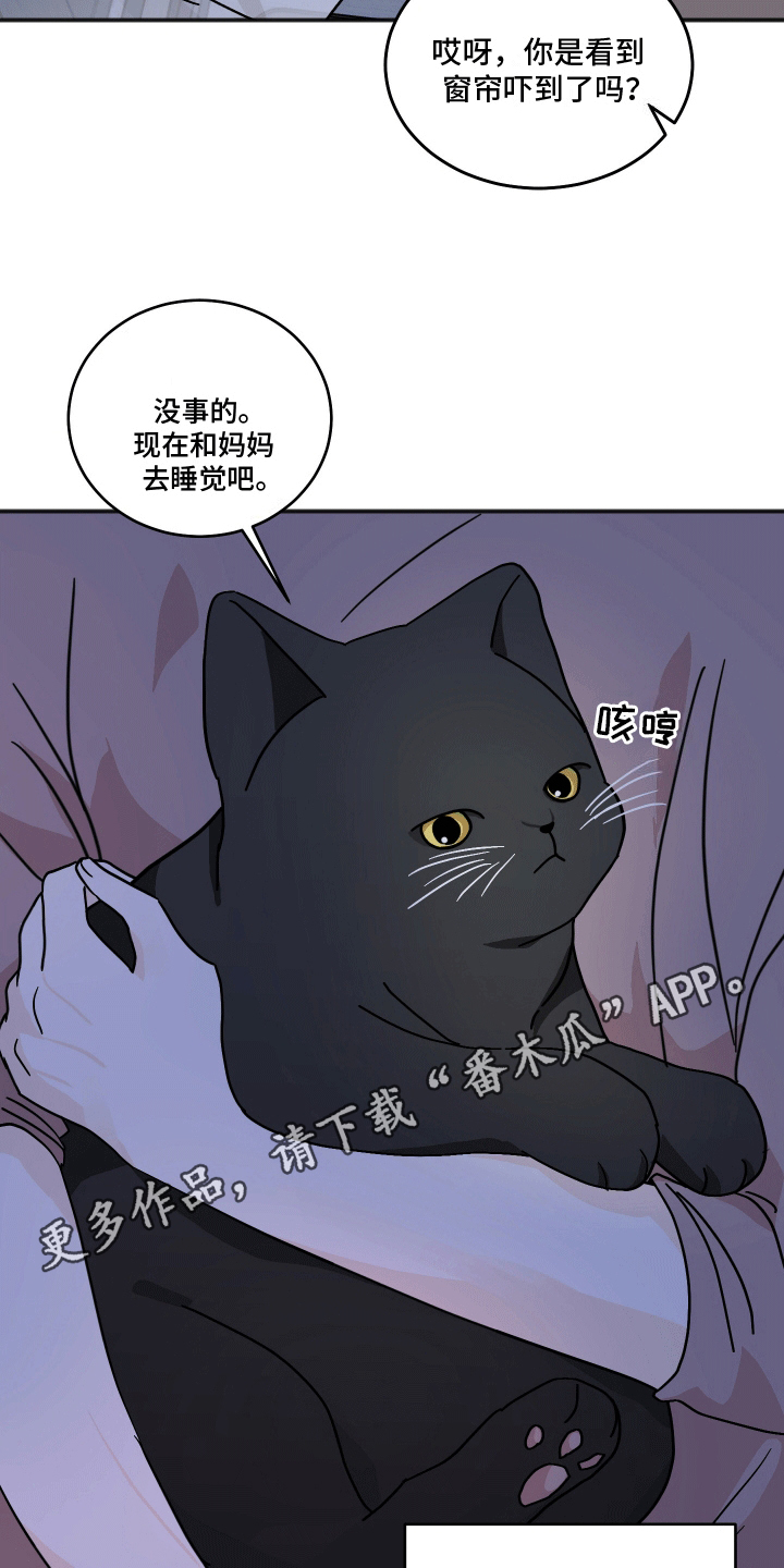 跨次元定制类小说漫画,第4话5图