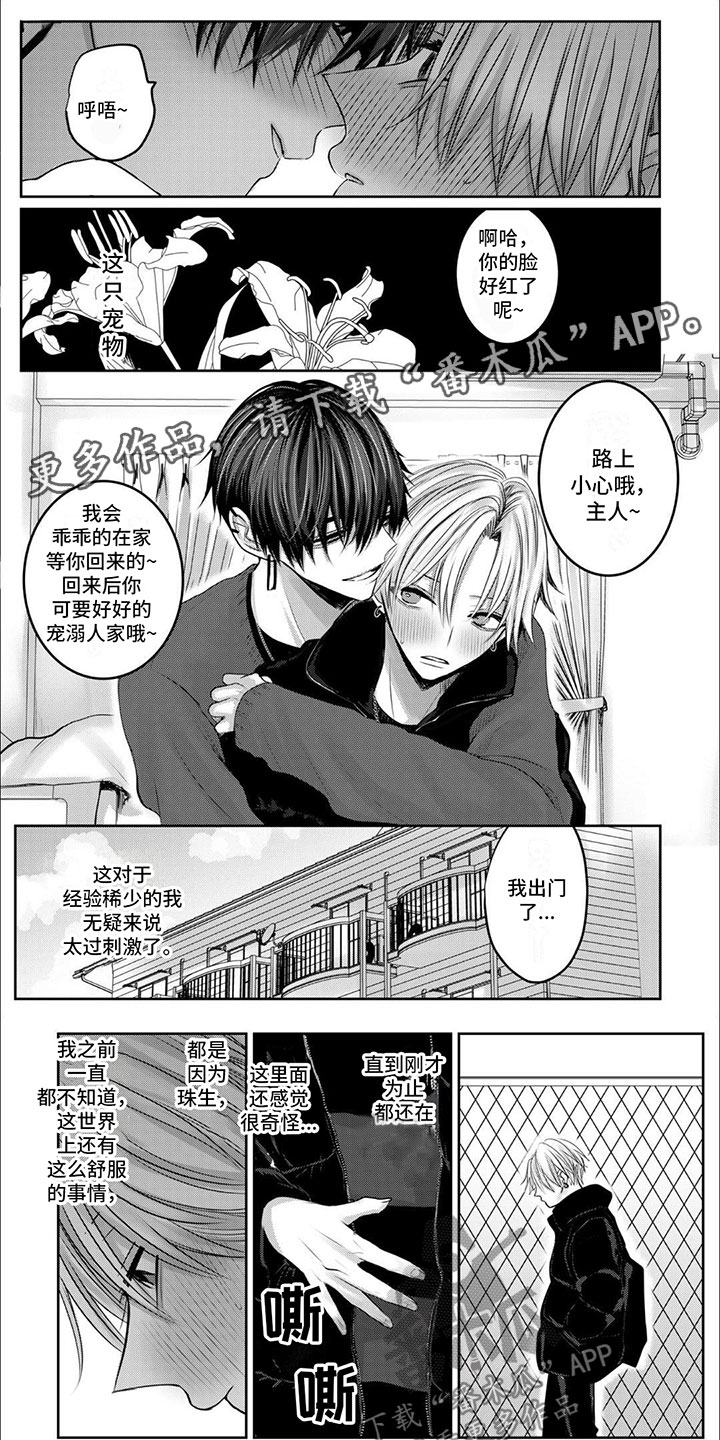 宠物爱固宝漫画,第6话1图