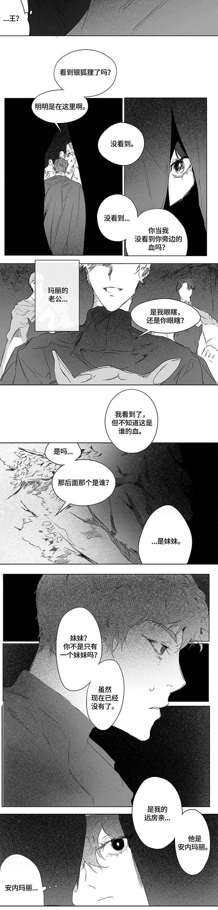 面纱里的影漫画,第5话2图