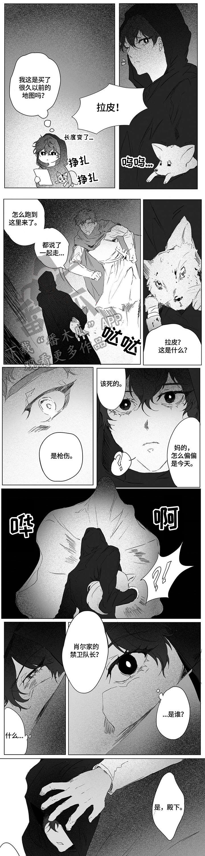 面纱里的影漫画,第5话1图