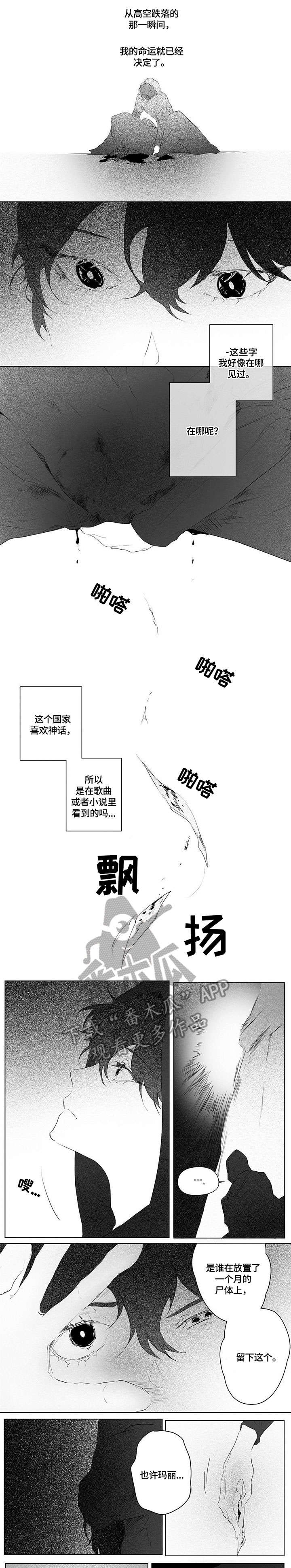 面纱里的影漫画,第4话1图