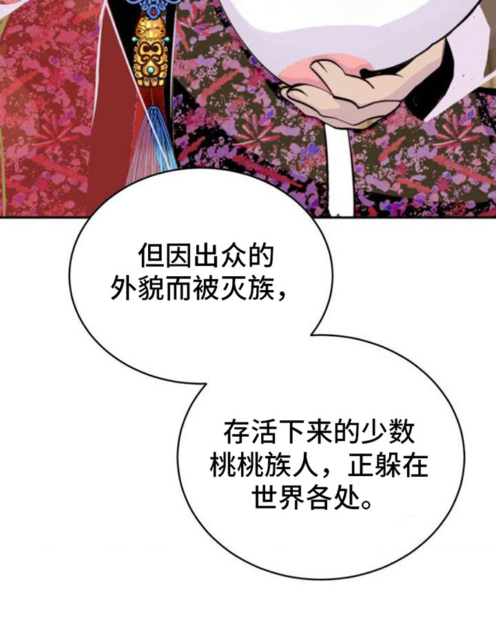 桃子男孩渡海而来漫画漫画,第2话5图