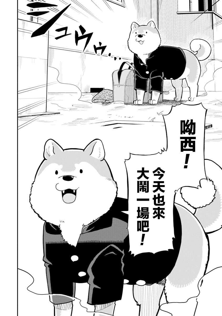 狼仔君敌不过早川同学漫画,第1话5图