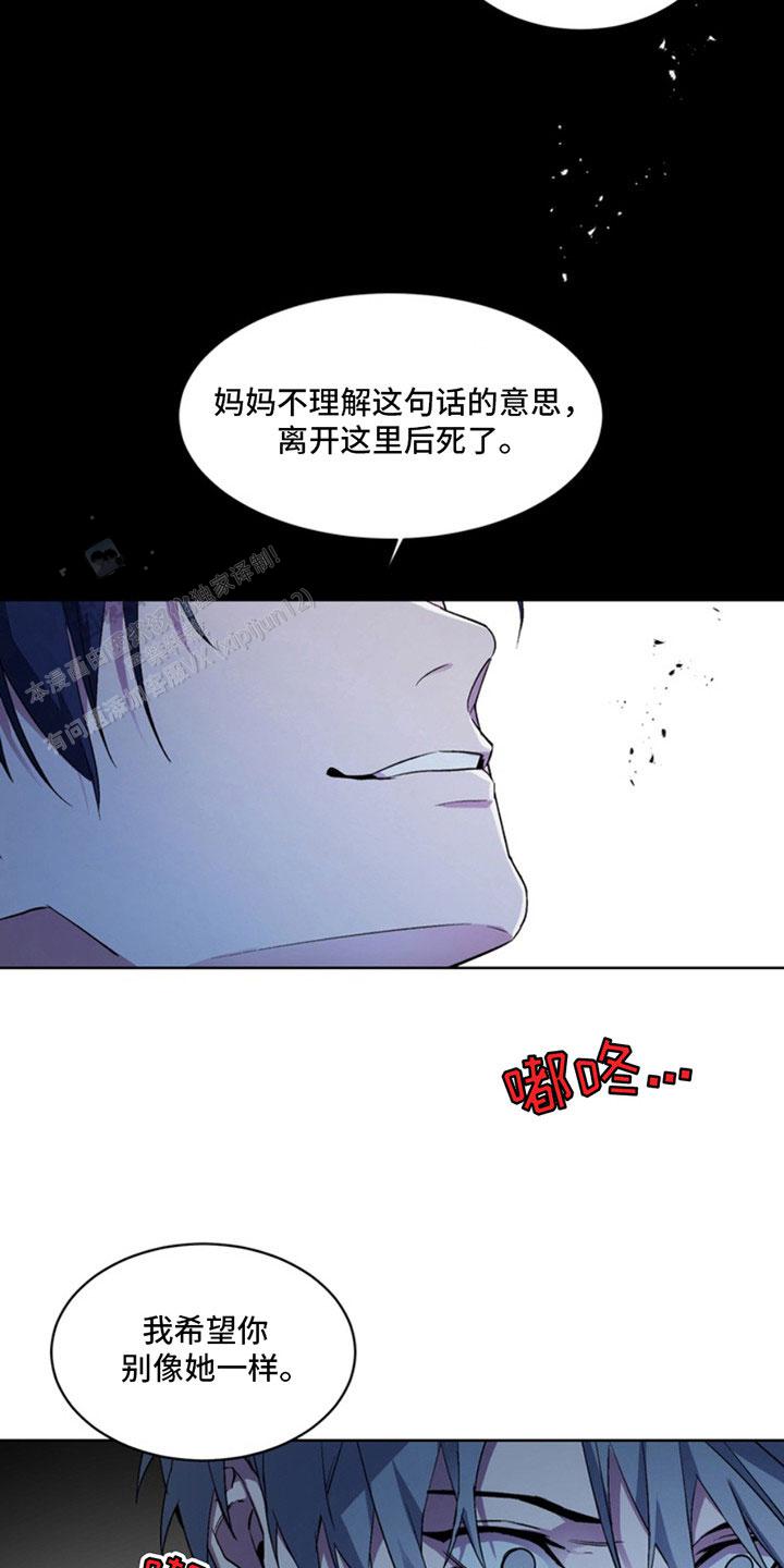 忠犬狂欢全集免费观看漫画,第5话5图