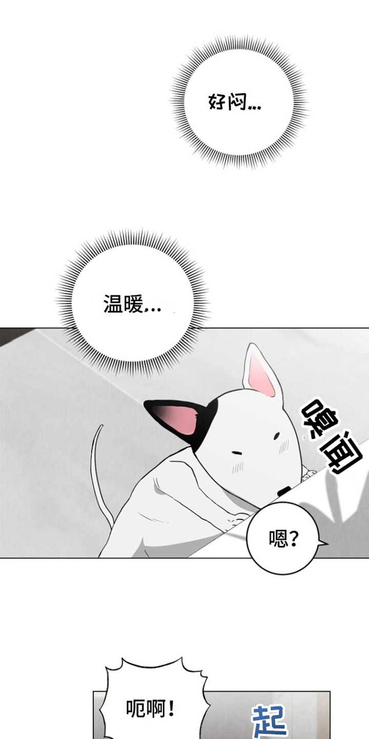 社畜和部长的恋情什么时候更新漫画,第4话4图