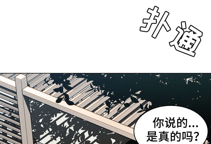 急速下坠漫画,第6章：传闻3图