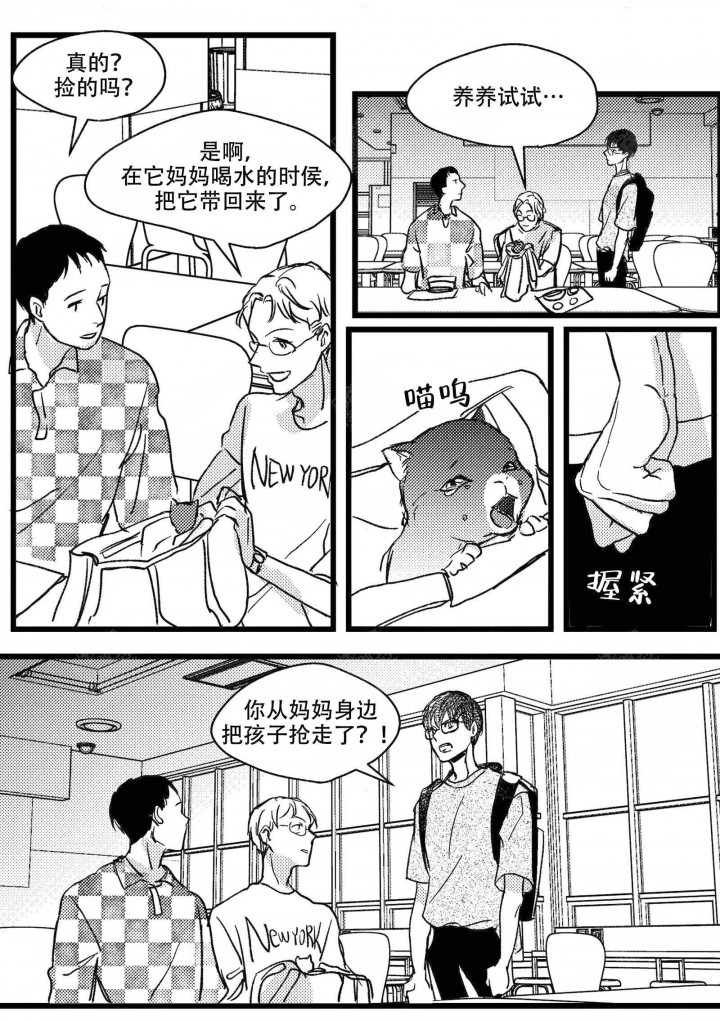 狼的糖果漫画,第11话3图