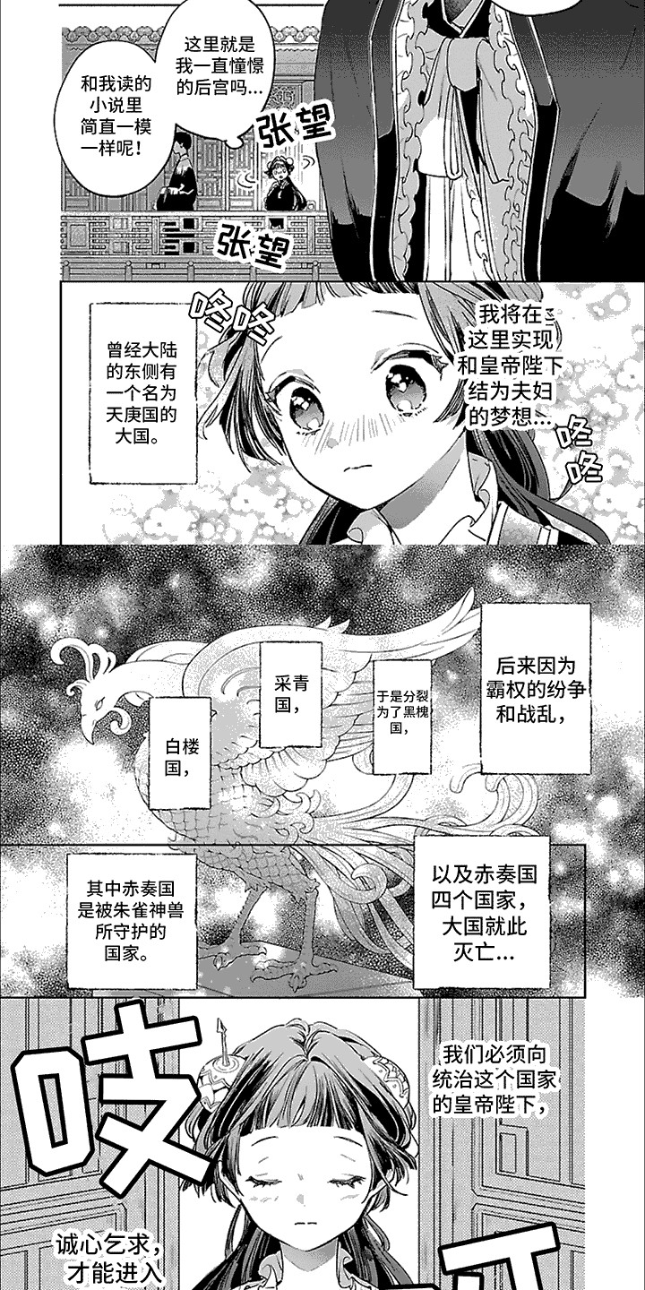 新皇后月季花苗漫画,第1话2图