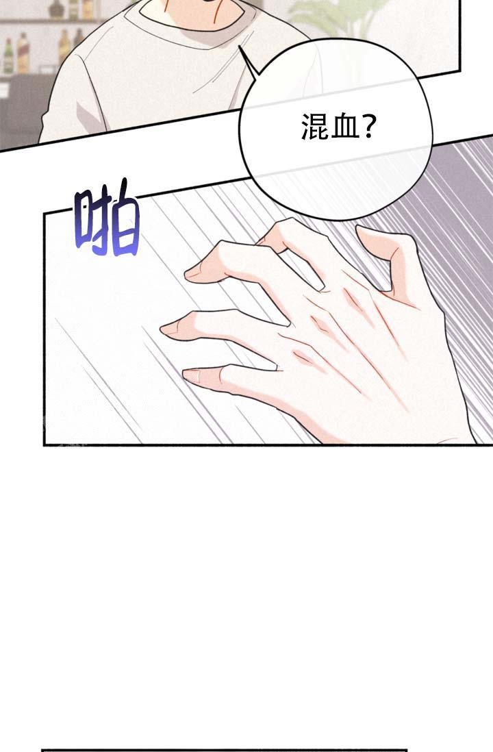 摩尼珠是什么样子的漫画,第10话3图