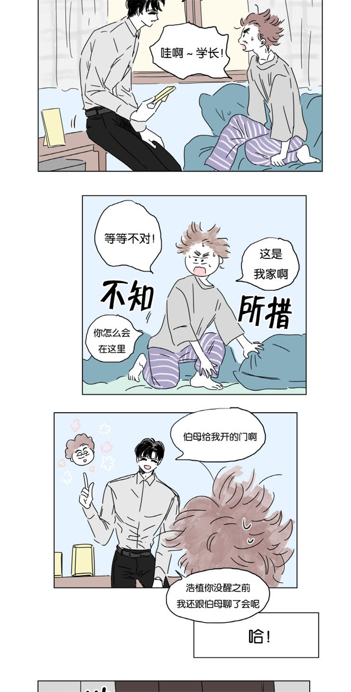 一家四口漫画,第10章：结婚消息3图