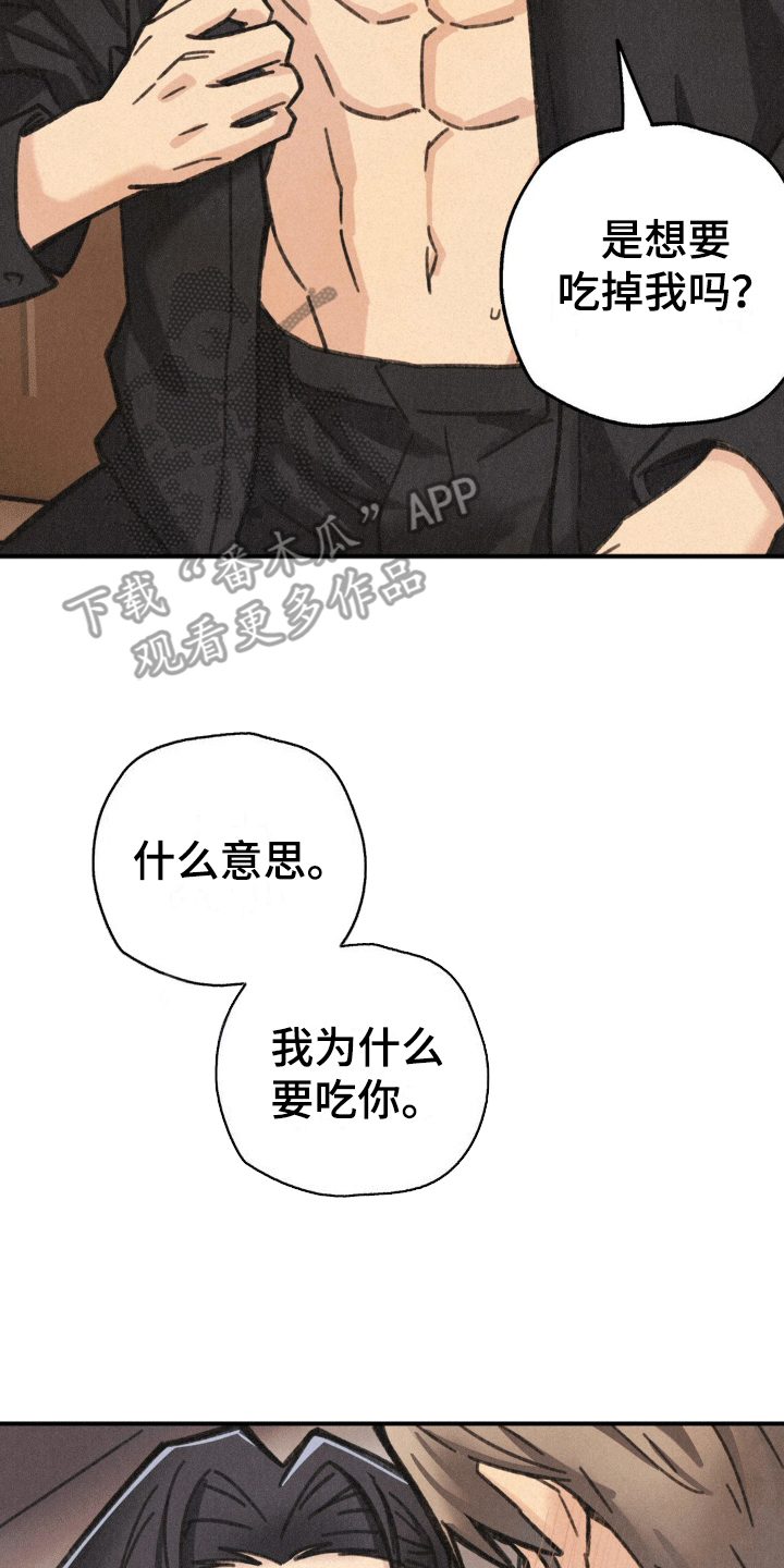 绝密追击电影免费观看完整版在线观看免费漫画,第10话4图