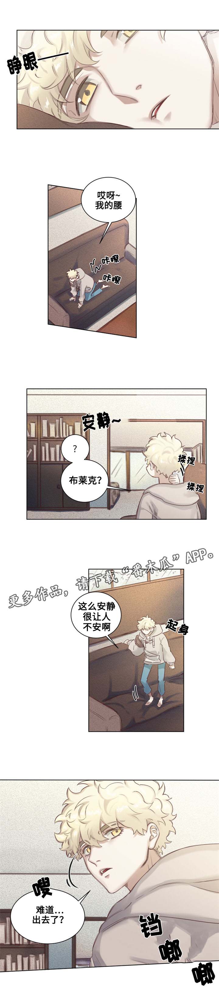 魔法师皮塔漫画,第5章：青蛙夫妇1图